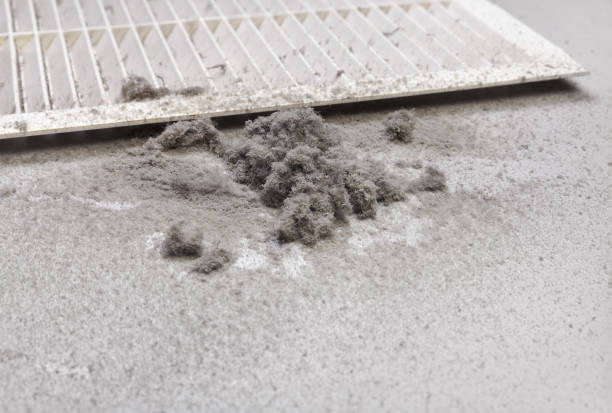 Best Residential Air Duct Cleaning  in Spencerville, MD